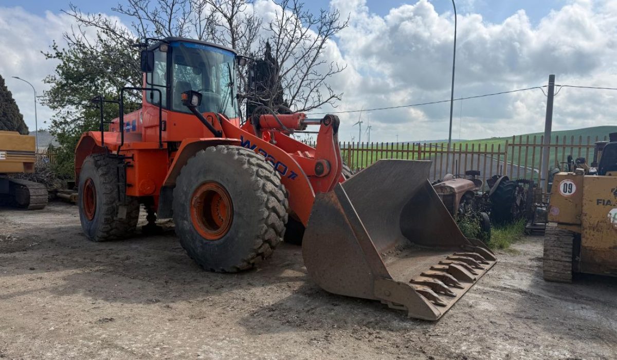 FIAT HITACHI W230 1